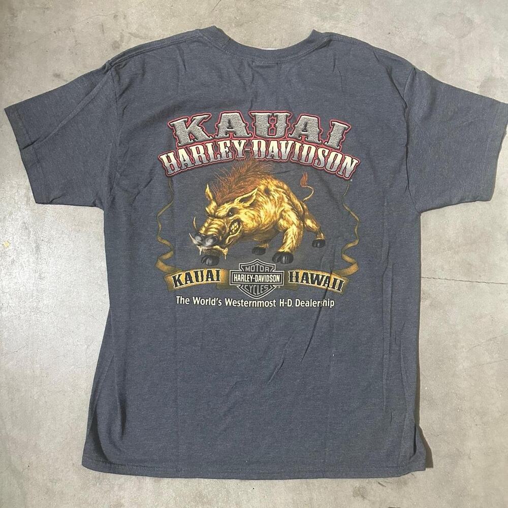 2010s Harley Davidson Kauai Hawaii Tee L Grey/Red HOG Graphic